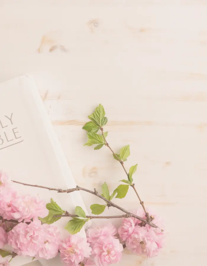 An open Bible with spring blossoms